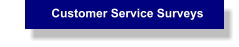 Customer Service Surveys